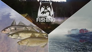 Wir testen das 34er  Ehrenfischer Nordmeer  Russian Fishing 4 [upl. by Mullane867]