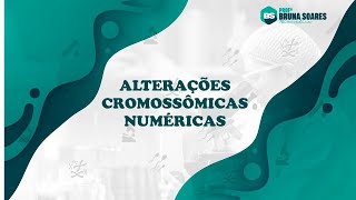 Alterações Cromossômicas Numéricas [upl. by Llerehs]