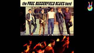 Paul Butterfield Blues Band  01  Born In Chicago by EarpJohn [upl. by Dania]