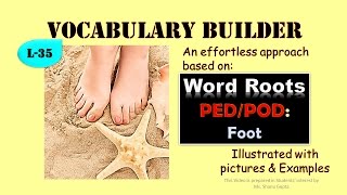 Word Roots Prefixes and Suffixes PED POD And Other Derived Words Vocabulary TV [upl. by Nednyl]