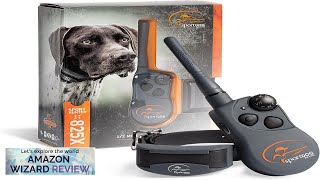 SportDOG Brand SportHunter 825X Shock Collar  12 Mile Range  Dog Review [upl. by Esyli]