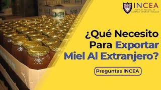 ¿Qué Necesito Para Exportar Miel Al Extranjero  Preguntas INCEA [upl. by Desimone742]