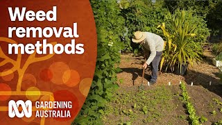 Remove weeds using these effective methods  Gardening 101  Gardening Australia [upl. by Alleuqahs]