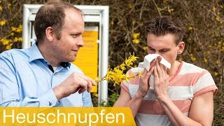 Heuschnupfen behandeln 🤧 Symptome  Tipps  Hyposensibilisierung  Allergietest [upl. by Uni]