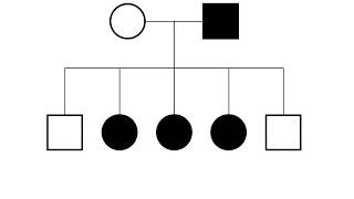 XLinked Pedigrees MADE EASY [upl. by Birdt823]