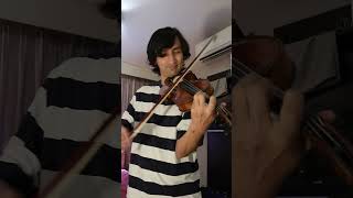 Can You Hear The Difference Expensive Handmade vs Cheap Violin [upl. by Dannye797]