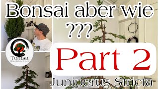 Wie mache ich ein Bonsai  2 JUNIPERUS CHINENSIS STRICTA BLAUER KEGELMOOSWACHOLDER Bonsai 5722 [upl. by Anha]