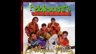 Adolescents Orquesta  Confesiones Audio Oficial [upl. by Ssitnerp]