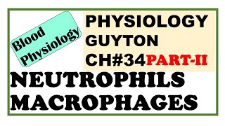 Ch34 PART2 Physiology Guyton  Neutrophils amp Macrophages Introduction to WBCs  Dr Asif Lectures [upl. by Wainwright]