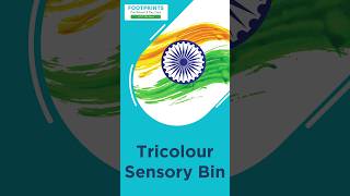 Tricolour Sensory Bin Activity For Kids  Prenursery Series  Footprints Preschool [upl. by Aicilana]