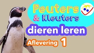 Dierennamen  Eerste Woordjes  Dieren Leren Aflevering 1 Peuters en Kleuters [upl. by Tranquada]