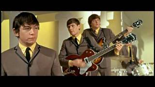 The Animals  House of the Rising Sun 1964 ♫ 60 YEARS 🎶⭐ ❤ [upl. by Divine]