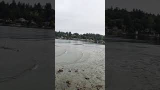 Billy Frank Jr Park Olympia Washington pnw findingpeaceinthegreatoutdoors [upl. by Auerbach]