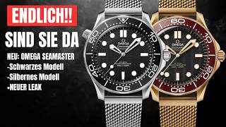 NEU OMEGA SEAMASTER 300 NoDate  NEUER SMP quotCraigquotLEAK [upl. by Edyaj813]