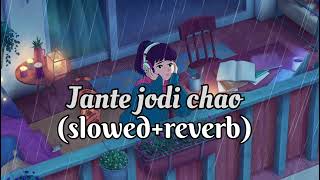 jantejodichao slowedreverb Bengali song lofi use headphones 🎧 best quality [upl. by Frannie]