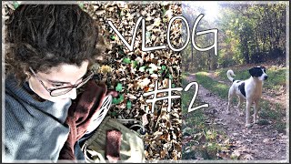 VLOG 2 Ein wunderschöner Herbsttag  in Verbindung mit Mutter Natur [upl. by Oiluj59]