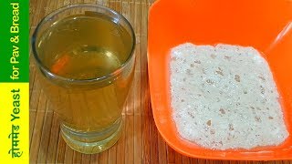 आसान तरीके से बनाये घर में yeast for bakery style ladi pavbreadpizza How To Make Yeast at home [upl. by Uzziel76]