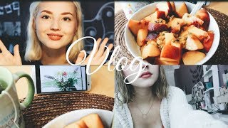 Viel Gerede amp neue Haarfarbe  Vlog Nr01  Gesine [upl. by Smitty]