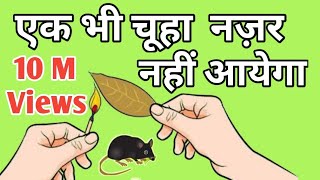 Chuhe bhagane ka tarika जिससे चूहे आपके घर का रास्ता भूल जाएंगे।Rat repellent hindi [upl. by Laws]