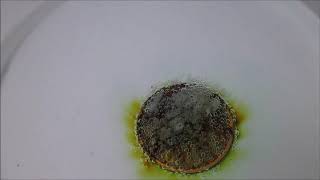 Coin in peracetic acid reaction [upl. by Eohce]