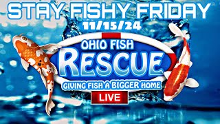 Stay Fishy Friday livestream 111524 [upl. by Laurette]