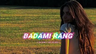 Badami Rang SlowedReverbNikk  LoFi Relaxation [upl. by Ydisac]