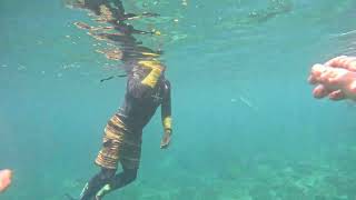 Blue Lagoons Underwater Ballet Snorkeling Through Balis Vibrant Marine Life [upl. by Andros]