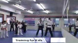 Troy Dorsey Karate [upl. by Idalina]