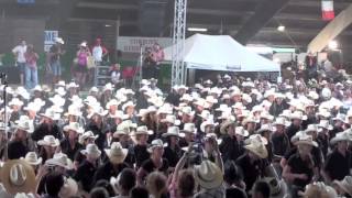 Firestorm line dance  UNITED COUNTRIES  Voghera Country Festival 2012 [upl. by Peddada]