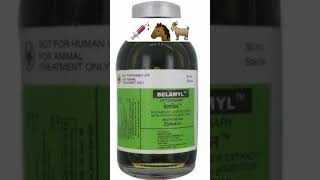 belamyl injection use in veterinary [upl. by Nnyled]