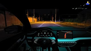 Night drive with Skoda Octavia RS 2022 [upl. by Nalehp239]