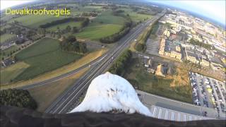 Eagle flight from balloon [upl. by Engelbert]