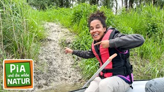 Spurensuche in den Flussauen  Reportage für Kinder  Pia und die wilde Natur [upl. by Campney261]