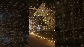 Beautiful Lighting Decoration 9272 beautiful light decoration shorts viralvideo travelvlogbd [upl. by Nuzzi]