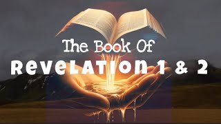 The Book Of Revelation 1 and 2 The Things To Come in The End Time [upl. by Enneillij296]