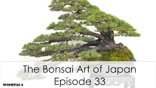 The Bonsai Art of Japan  Episode 33 [upl. by Balfour]