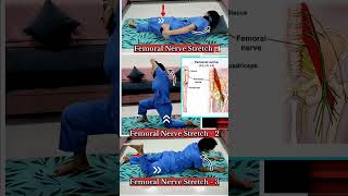 Femoral Nerve Stretch  Femoral Nerve Mobilisation Technique [upl. by Warwick]