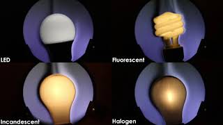 Schlieren Light Bulb Heat Comparison [upl. by Erline]