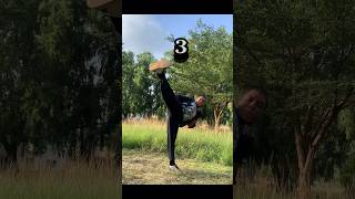 3 sidekicks🦶youbirama asia india funny martialarts share shortvideo monkey kungfuviews [upl. by Nalehp]