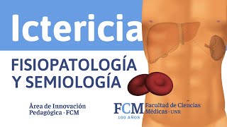 Ictericia  Fisiopatología y Semiología [upl. by Matthew151]