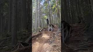 Revelstoke boulder mountain viralvideo mtb fyp [upl. by Fredela510]