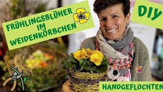 KORBFLECHTEN für Anfänger  Flechtkorb mit Blühpflanze einfach selber gemacht [upl. by Ventre830]