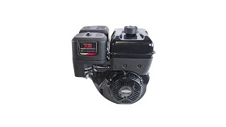 Briggs amp Stratton 2100 Series Horizontal OHV Engine  420cc Model Number 25T2320037F1 [upl. by Oech325]