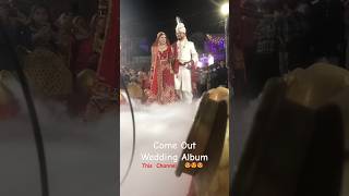 love couple life ytshorts shorts viral wedding wife husband [upl. by Inamik]