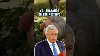 Con toda la actitud amlolujodepresidente [upl. by Ahseekal]