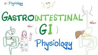 Gastrointestinal GI Physiology…The Basics Introduction  Physiology Series [upl. by Venezia]