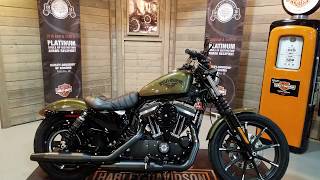 2017 Harley Davidson Sportster 883 Iron in olive gold  HarleyDavidson of Kokomo [upl. by Hayila]