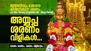 അയ്യപ്പ ശരണം വിളികൾ  Sharanam Vilikal  Malayalam Ayyappa Devotional Songs [upl. by Akienat]