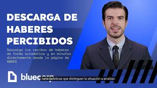 Descarga de Haberes Percibidos ANSES [upl. by Rosenbaum478]