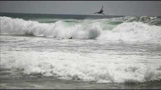 Sri Lanka  Midigama Plantations Surf  Jan 6 2024  Large swell [upl. by Hamrnand]